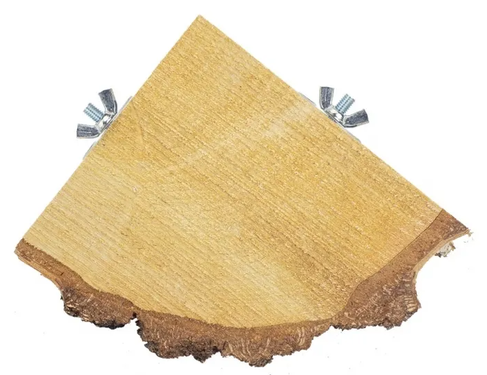 Back Zoo Nature - Quarter Wood Slice