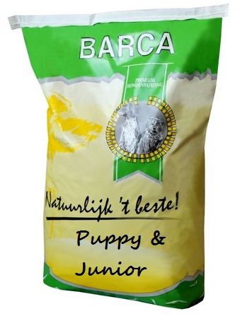 Barca - Puppy & Junior