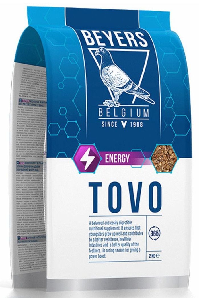 Beyers - Tovo Condition & Rearing