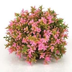 BiOrb Bloemenbal Roze