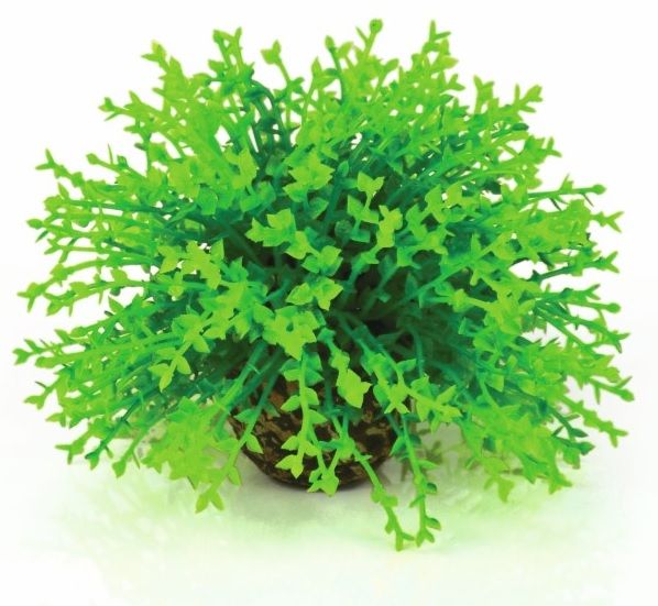 BiOrb Bloemenbol Groen