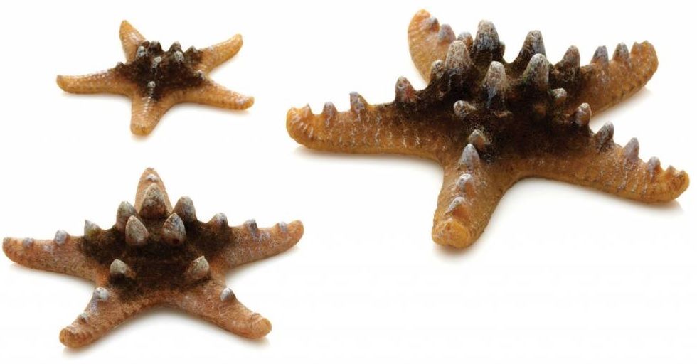 BiOrb Zeester set 3st naturel