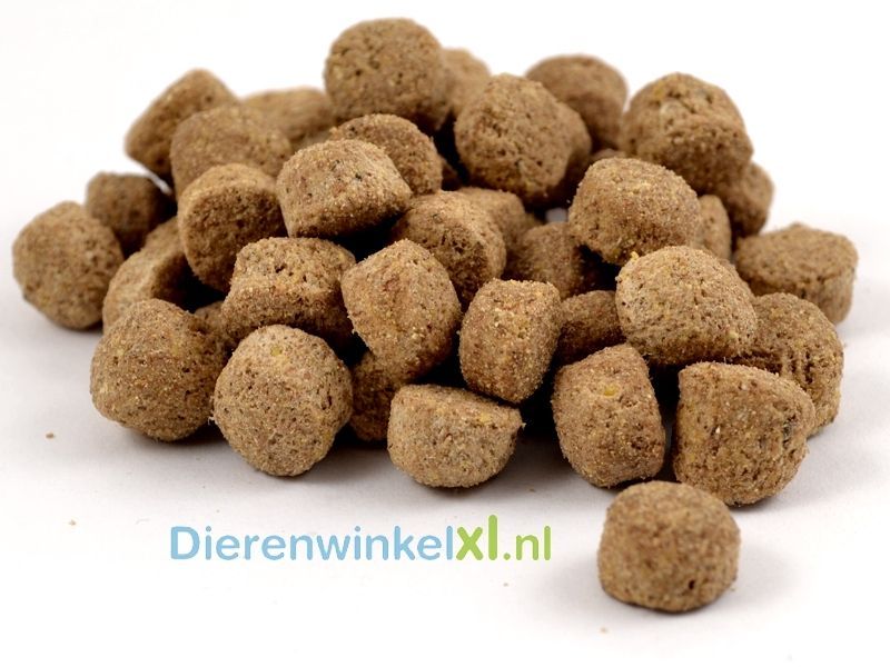 Bikkel - Basic Adult