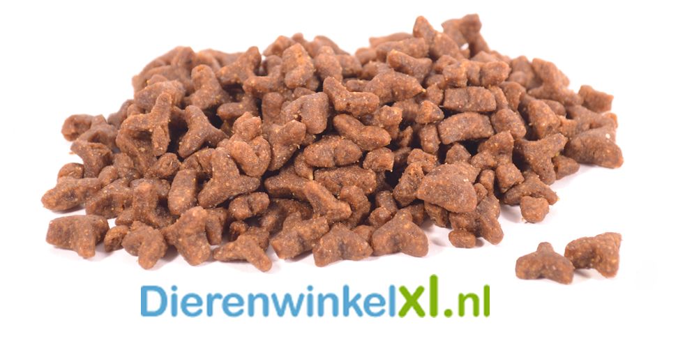 Bikkel - Premium Kat - Adult