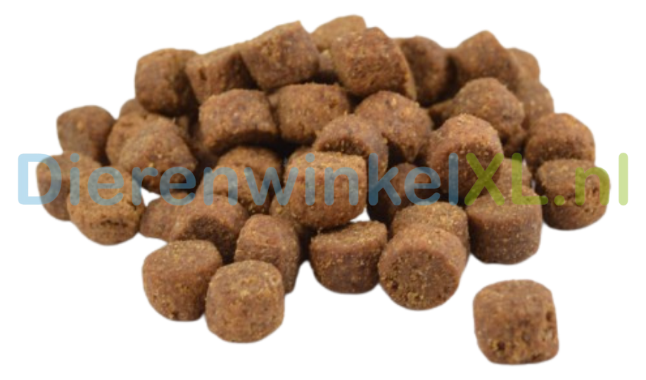 Bikkel - Premium - Maintenance Large Breed