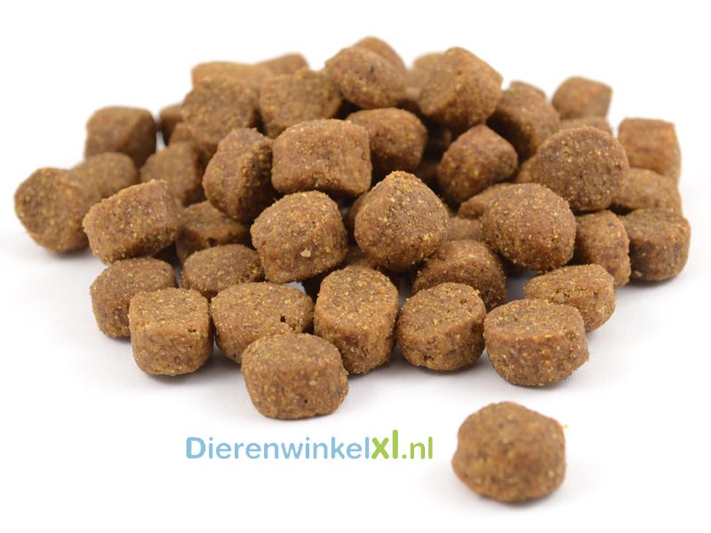 Bikkel - Premium - Maintenance Medium Breed