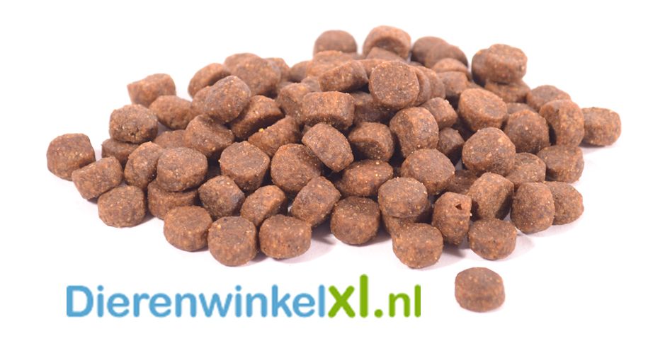 Bikkel - Premium - Maintenance Small Breed