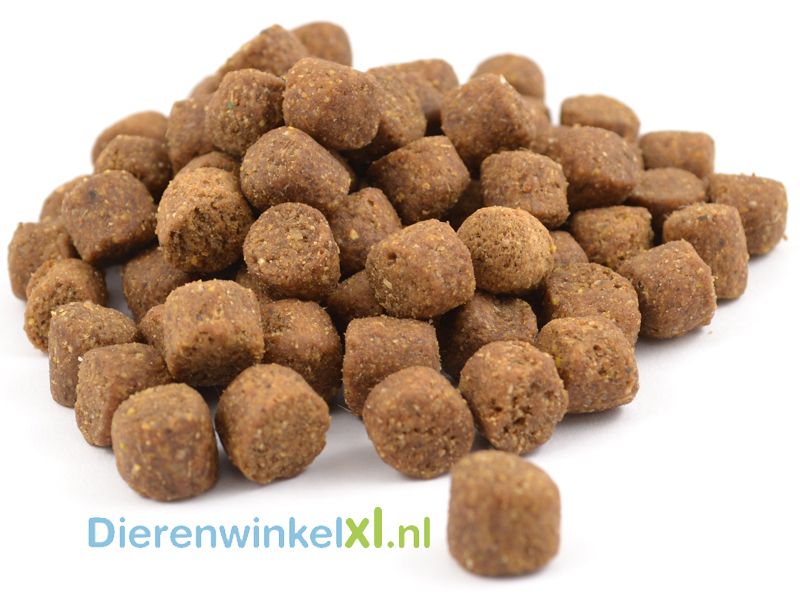 Bikkel - Premium - Pup Large Breed