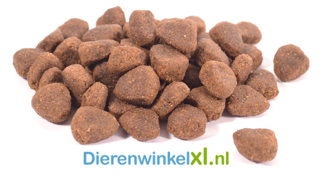 Bikkel - Premium - Sensitive Digestion