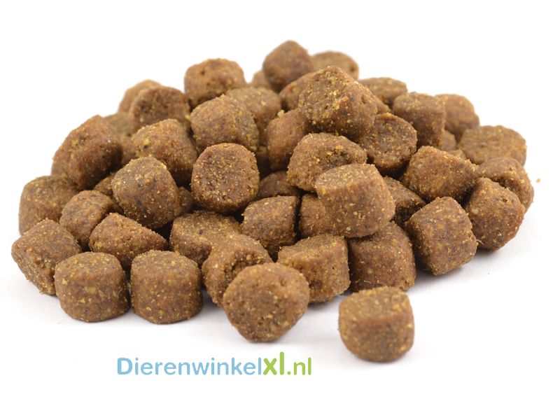 Bikkel - Premium - Sensitive Lam & Rijst