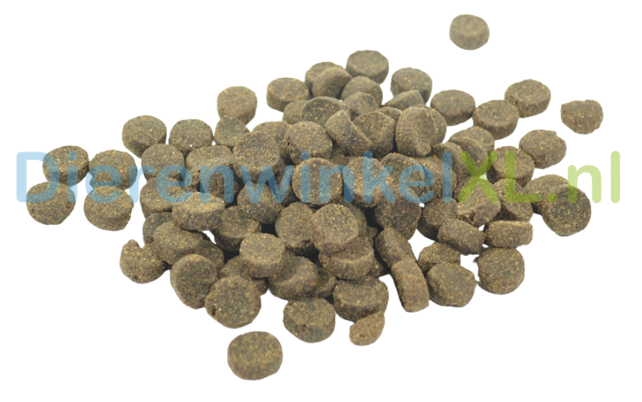 Bikkel - Premium kat - Senior/light