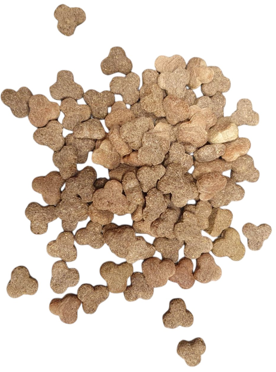 Bikkel Regular Crackers Senior/light