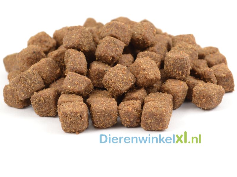 Bikkel regular Lam & rijst