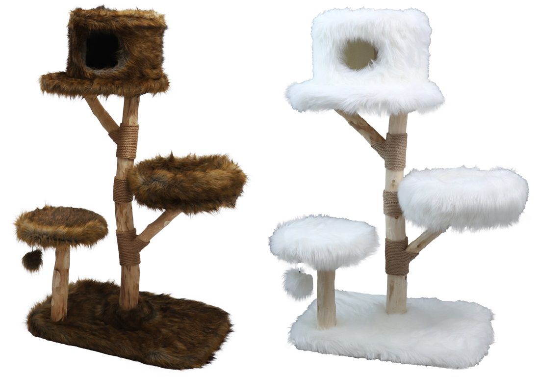 Boony Est "1941" - Klimboom Pinus 136cm