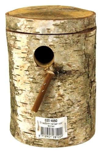 Broedblok berken - Exoten