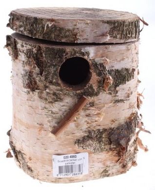 Broedblok berken - Parkieten