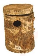 Broedblok berken - Valkparkieten