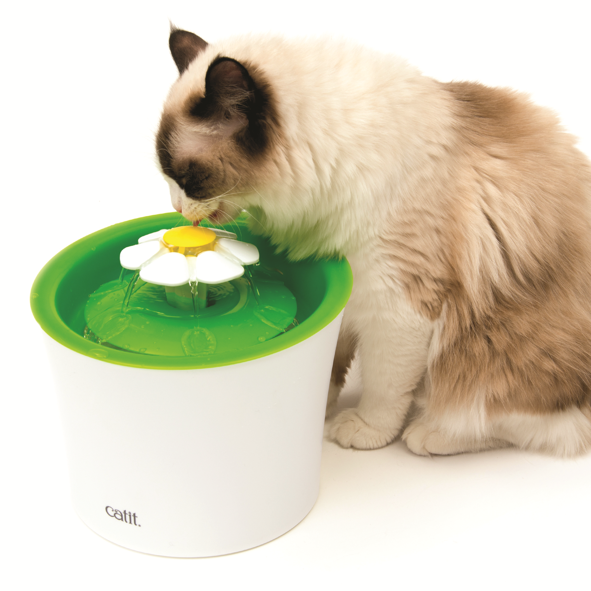 Cat-it Senses 2.0 Flower Fontain