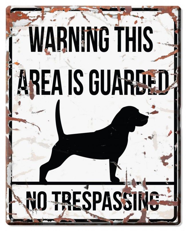 D&D - Waarschuwingsbord Square Beagle (wit)