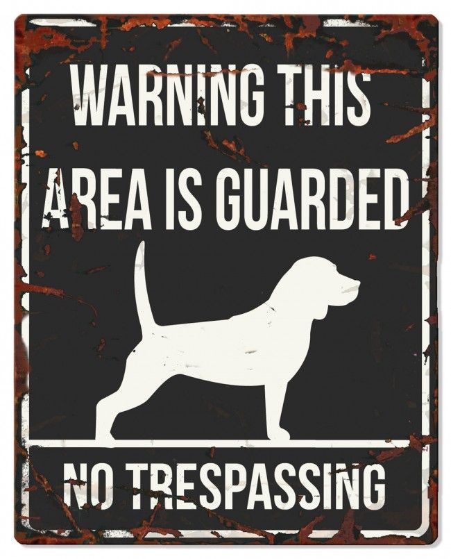 D&D - Waarschuwingsbord Square Beagle (zwart)