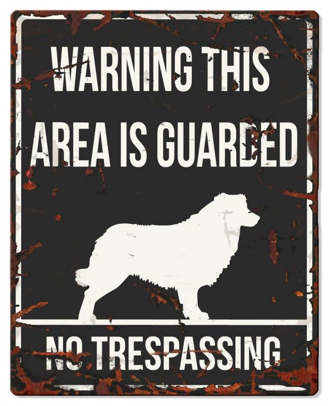 D&D - Waarschuwingsbord Square Collie (zwart)