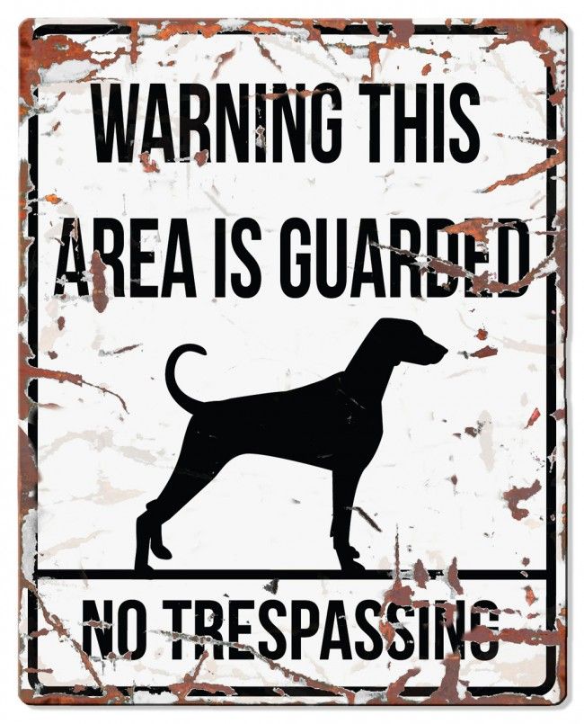 D&D - Waarschuwingsbord Square Dalmatian (wit)