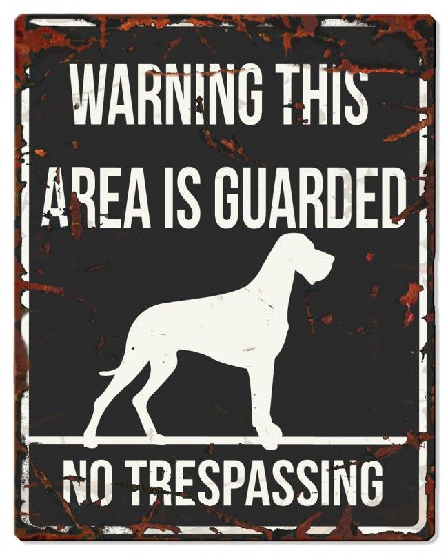 D&D - Waarschuwingsbord Square Danish Dog (zwart)