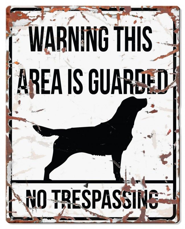 D&D - Waarschuwingsbord Square Golden Retriever (wit)