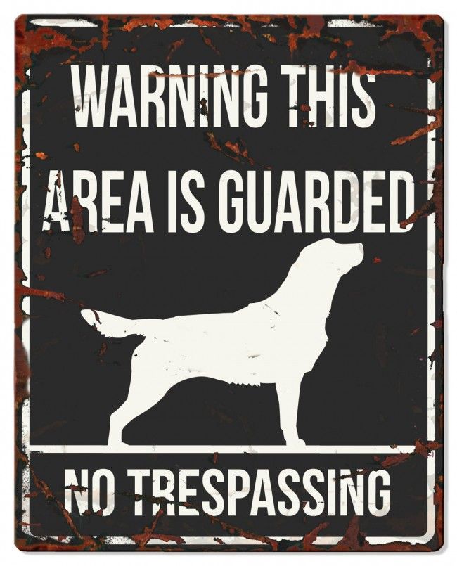 D&D - Waarschuwingsbord Square Golden Retriever (zwart)