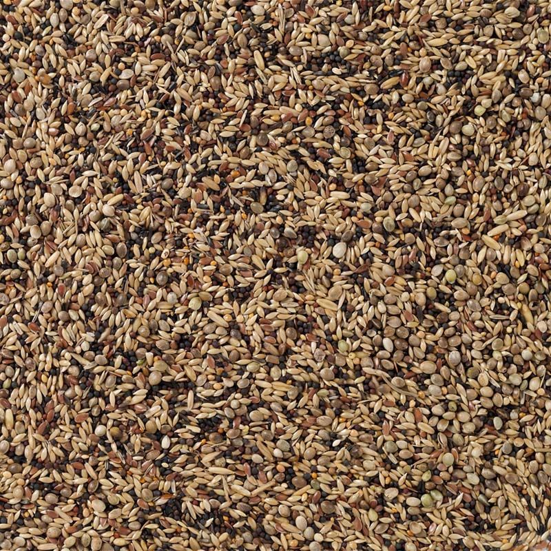 Deli Nature - Europese Vogels (Nr. 91) 20kg