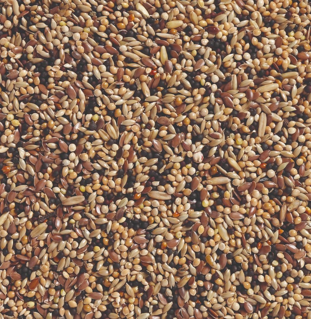 Deli Nature - Volierezaad (Nr.34)