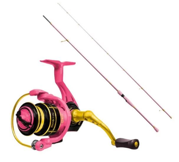 Delphin QUEEN Spinhengel + Molen