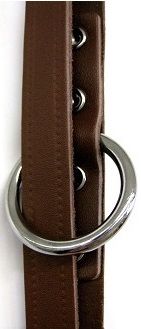 Dresseerlijn - Bruin