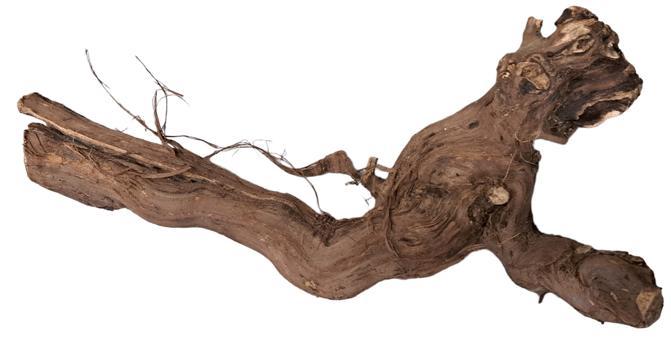 Druiventakken Middel