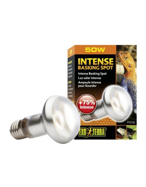 EX INTENSE BASKING SPOT 50W