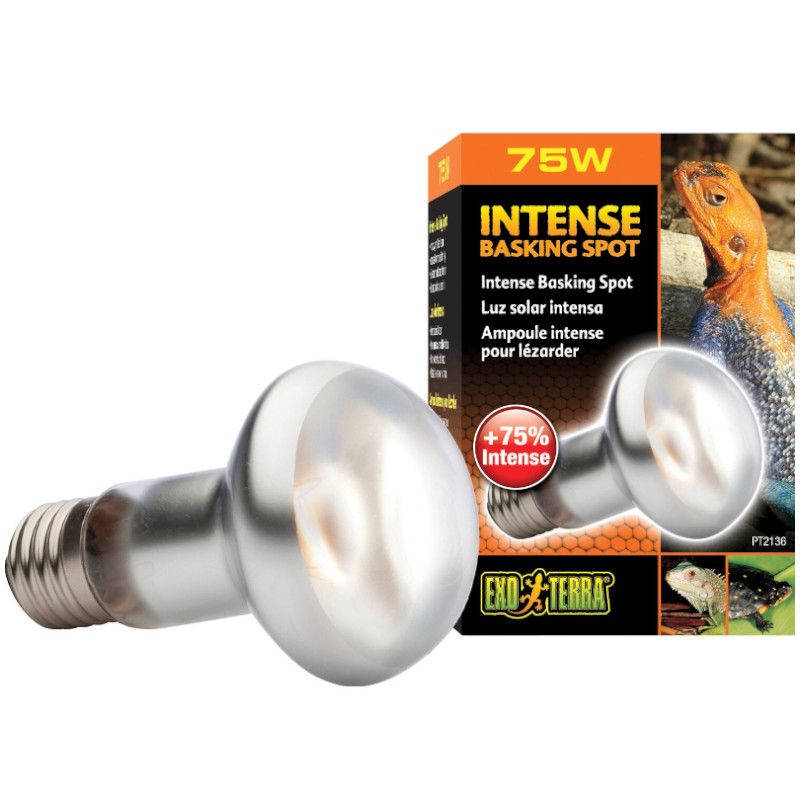 EX INTENSE BASKING SPOT 75W