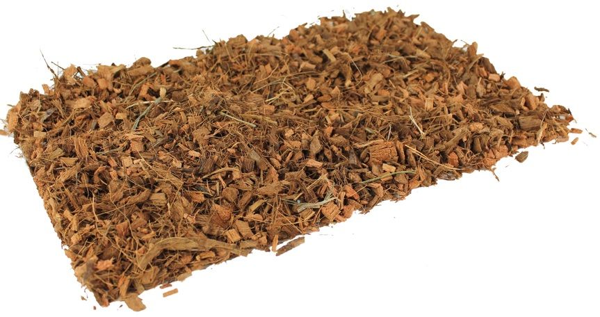 Ekoo - Exotic Kokos Fijn