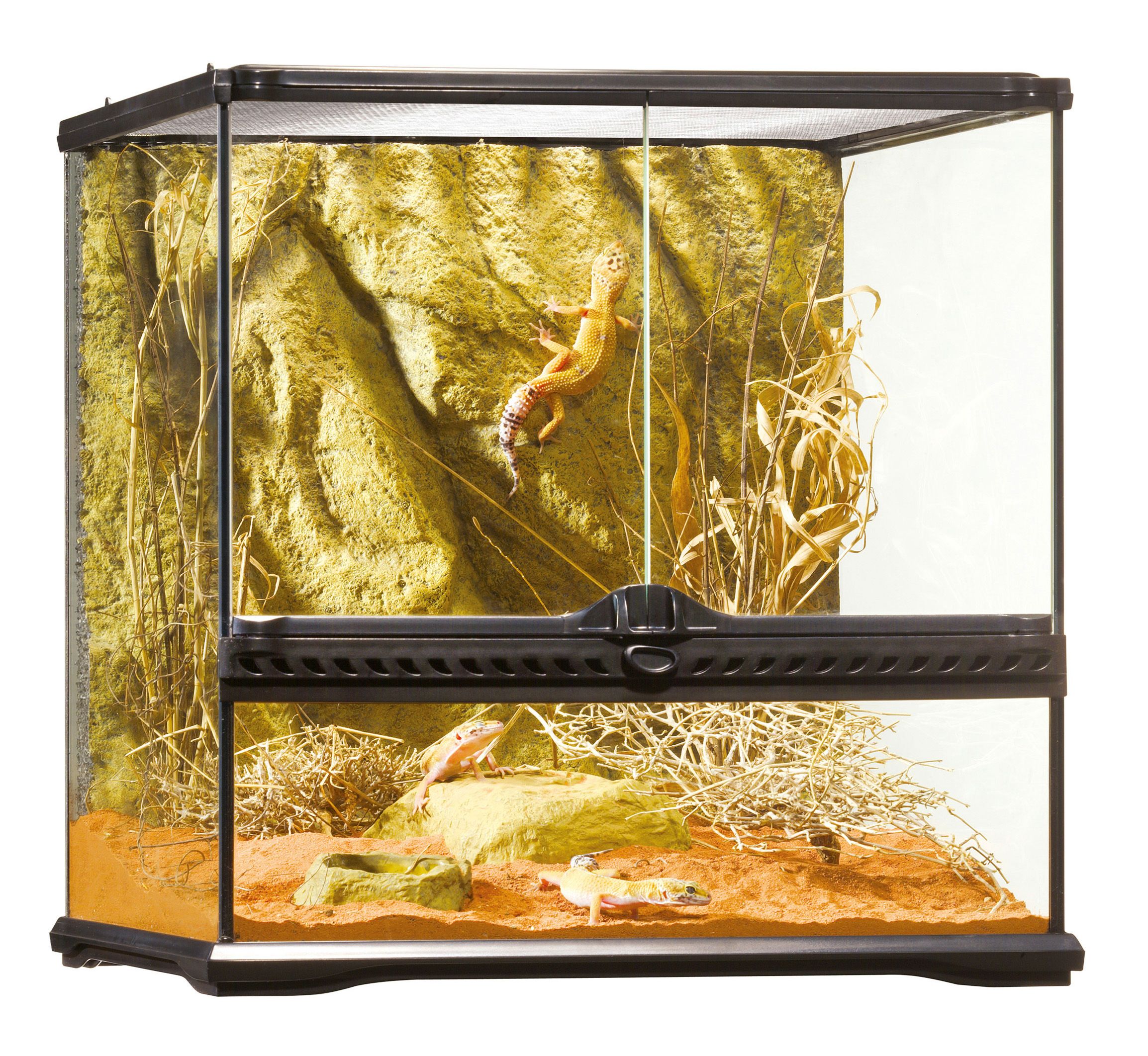 Exo Terra - Glas terrarium incl achterwand 60x45x30cm