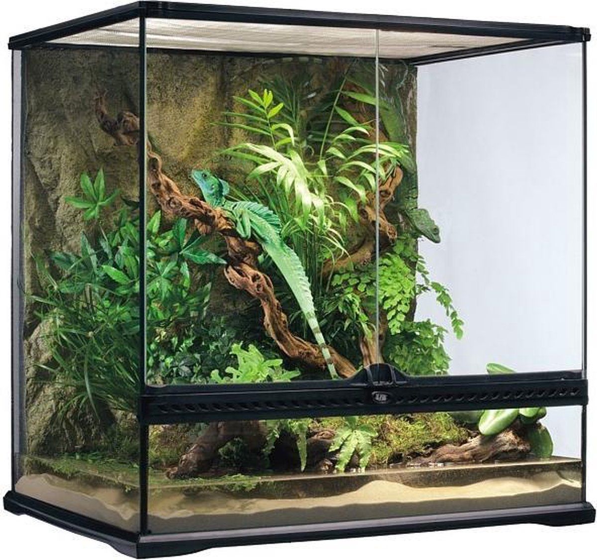 Exo Terra - Glas terrarium incl achterwand 60x45x60cm