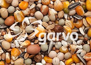 Garvo - Basis duivenvoer (1805)