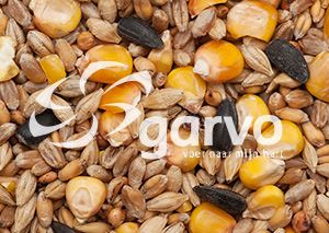 Garvo Gemengd Graan Met Zonnepit (5151) 20kg