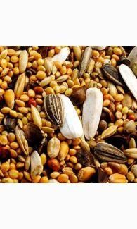 Garvo - Grote Parkietenzaad (5342) 20kg