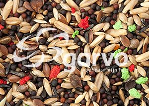 Garvo - Kanarie Zoet Standaard (5361)