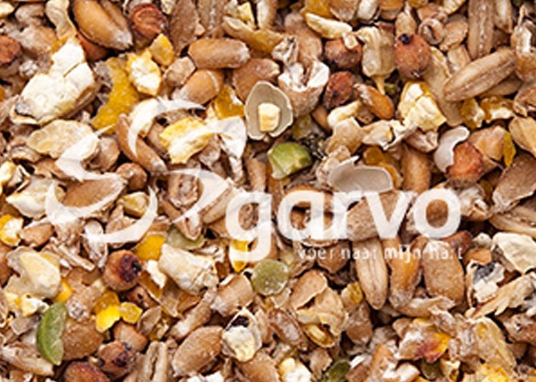 Garvo - Kuikenzaad 2 (5132)