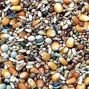 Garvo - Prestige Vlieg (5581)