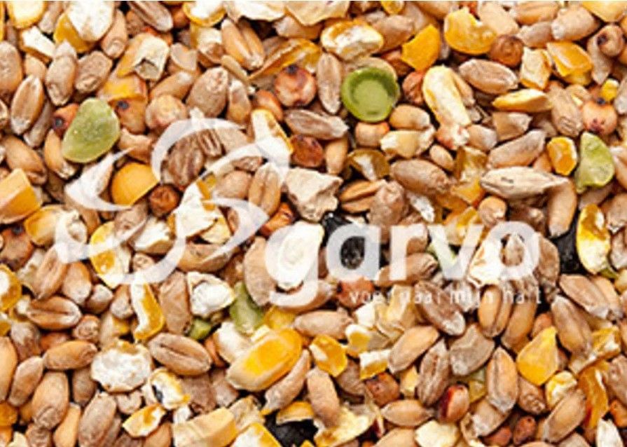 Garvo - Scharrelgraan Zonder Gerst (4133)