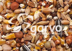 Garvo - Sierduivenvoer (5441)