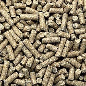 Garvo - Swienenbrok Extra (480)