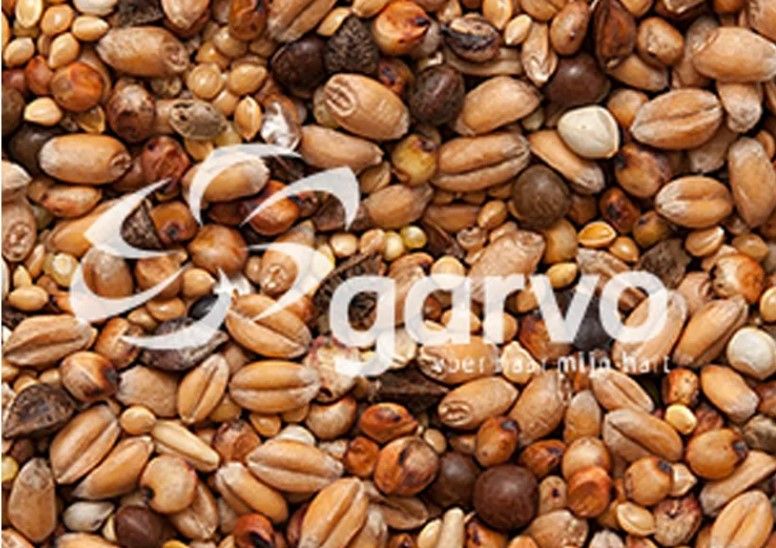 Garvo - Tortelduivenvoer (5426)