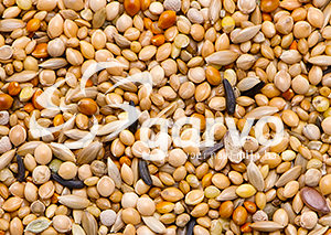 Garvo - Tropisch Zaad (3838) 20kg